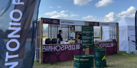 Новгородские рестораны представляют регион на эногастрономическом фестивале «Виноград» - Правительство Новгородской области