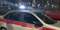 Росгвардия задержали хулигана, ломом повредившего автомобиль в Красногвардейском районе - ТК Санкт-Петербург