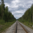 Нейросеть - Syktyvkar.1istochnik.Ru