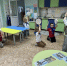IMG_20260610_143651.png - Управление образования