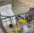 Стоимость продуктового набора снизилась в Нижегородской области  - фото 1 - vGorodeN.Ru