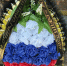 img - ЛДПР