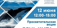 Мурманский краеведческий музей приглашает на «День Кита» в праздничную дату - Мурманский вестник