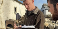 Сотрудник академии провёл научные исследования по шерстной продуктивности тонкорунных пород овец в Республике Дагестан - МГАВМиБ им. К.И. Скрябина