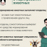 Что необходимо знать о маркировании животных - Россельхознадзор