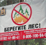 В лесах Архангельской области вводится особый противопожарный режим - Сетевое издание Коноша29