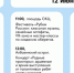 Квизы, мастер-классы, пикники, концерты: праздничная программа ко Дню России в Благовещенске - Amur.Life