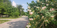 В длинные праздничные выходные в Красноярском крае будет жара и слабый ветер - ИА Запад24