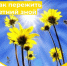 Как пережить летний зной. - ГАУЗ КО ОКЦОЗШ