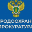 Правила пожарной безопасности в лесах. - Администрация Кулундинского района