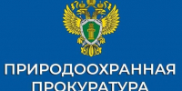 Правила пожарной безопасности в лесах. - Администрация Кулундинского района