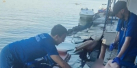спасение на воде - Газета Родные берега