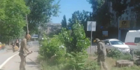 Борьбу с сорняками усилят в Астрахани - Punkt-a.info