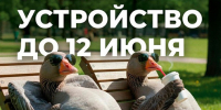 До завершения голосования за благоустройство осталось совсем немного времени - Канские Ведомости