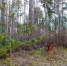 image - GazetaRB.Ru