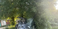 В Сызрани "Гранта" слетела с дороги и врезалась в дерево, погиб человек - Волга Ньюс