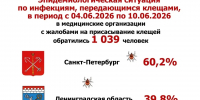 За неделю от укусов клещей в Петербурге Ленобласти пострадали свыше тысячи человек - 47Channel.Ru