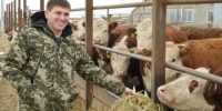 Сегодня День российского фермера.  - Морозовский район