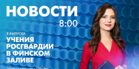 Новости Петербурга к 8:00 - tvspb.ru - ТК Санкт-Петербург