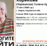Кировские волонтеры нашли пропавшую пенсионерку и занялись поисками подростка - Newsler.Ru