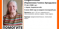 Кировские волонтеры нашли пропавшую пенсионерку и занялись поисками подростка - Newsler.Ru