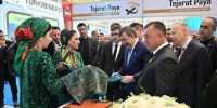 Астраханские предприниматели укрепляют деловые связи с Туркменистаном - Газета Волга
