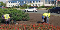Во Владивостоке на обновлённом перекрёстке улицы Русской обустраивают цветники - Администрация г. Владивостока