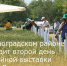 В Зерноградском районе проходит второй день юбилейной выставки «День Донского поля» - Зерноградский район