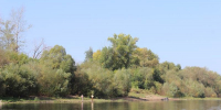 Под Екатеринбургом водитель утонул, вылетев в реку - EaNews.Ru