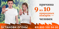 О лесопожарной обстановке в лесах Калужской области - Министерство природных ресурсов и экологии