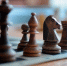 FIDE приостановила членство Федерации шахмат России - M24.Ru