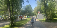 Здоровое утро в «Березовой роще»: приглашаем на зарядку и скандинавскую ходьбу - Дзержинский район