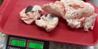 В Красноярске на рынке изъято и уничтожено  более 28 кг мяса и субпродуктов - 1-LINE