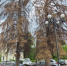 Фото: https://www.penza-gorod.ru/ - Penza-Post.Ru