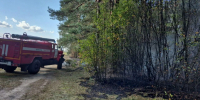 За минувшие сутки в Московской области ликвидировали один лесной пожар - MosRegToday.Ru