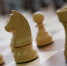 FIDE временно приостановила членство Федерации шахмат России - Реальное время