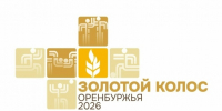 Зональный этап "Золотого колоса Оренбуржья - Областной футбольный союз