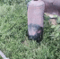 i (36).webp - Gorod48.ru