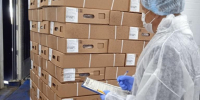 Рост экспорта животноводческой продукции из Псковской области увеличился  на 19% - Pln-Pskov.Ru