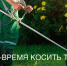Информация отдела муниципального контроля. - Сокольский муниципальный округ