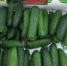 Огурцы снова в ударе: как менялись цены на продукты в Ставропольском крае за неделю - Bloknot-Stavropol.Ru
