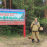 В лесах Нижегородской области оборудовали 3 тыс. мест отдыха - НТА-Приволжье