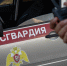 ВО ВЛАДИКАВКАЗЕ РОСГВАРДЕЙЦЫ ЗАДЕРЖАЛИ НАРУШИТЕЛЯ ОБЩЕСТВЕННОГО ПОРЯДКА - Росгвардия