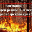 Режим ЧС в лесах!. - Емельяновский район