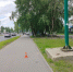 В Сыктывкаре ищут самокатчика, сбившего женщину на тротуаре - Bnkomi.Ru
