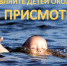 «Об административных правонарушениях в Новосибирской области»)  на родителей возлагается административная ответственность  за бесконтрольное купание детей в неустановленных местах - Город Чулым