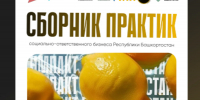 В Башкирии представили лучшие практики социального предпринимательства - Сетевое издание Республика Башкортостан
