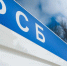Фото: SGr/Shutterstock/Fotodom - Ямал-Медиа