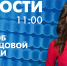 Новости Петербурга к 11:00 - tvspb.ru - ТК Санкт-Петербург