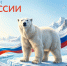 С Днем России! - Нацпарк Русская Арктика